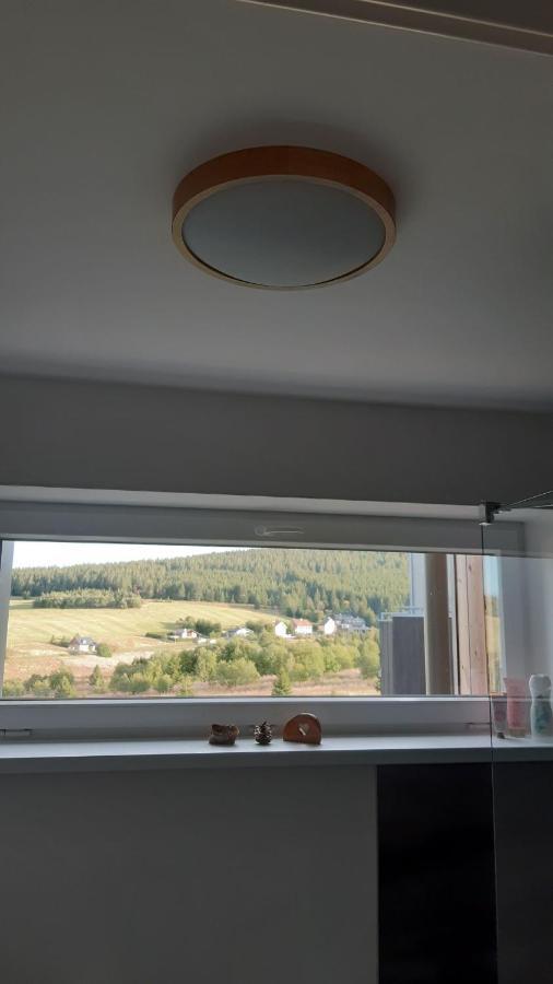 Mezonetovy Apartman Se Dvema Balkony A Vyhledem Loučná pod Klínovcem エクステリア 写真